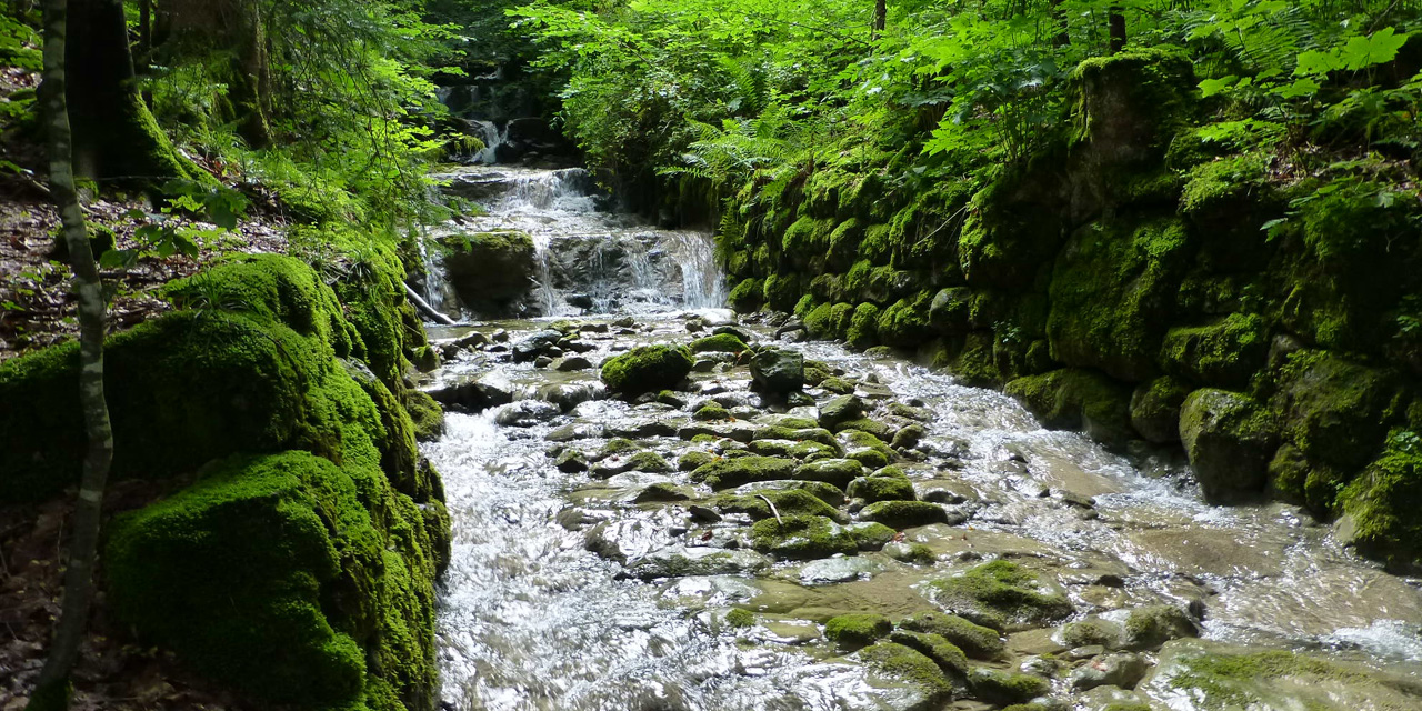 bauingenieurwesen-wasserbau-wildhuser-thur-toggenburg-schaellibaum-ingenieure-ch
