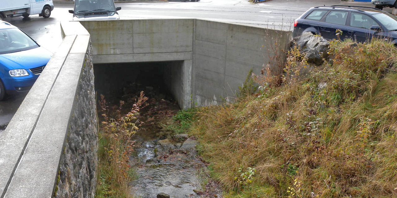 bauingenieurwesen-wasserbau-wisbaeche-schweiz-schaellibaum-ingenieure-ch