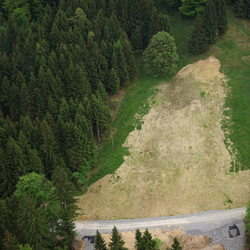 geomatik-drohnenvermessung-luftbilder-hinterrumpf-schaellibaum