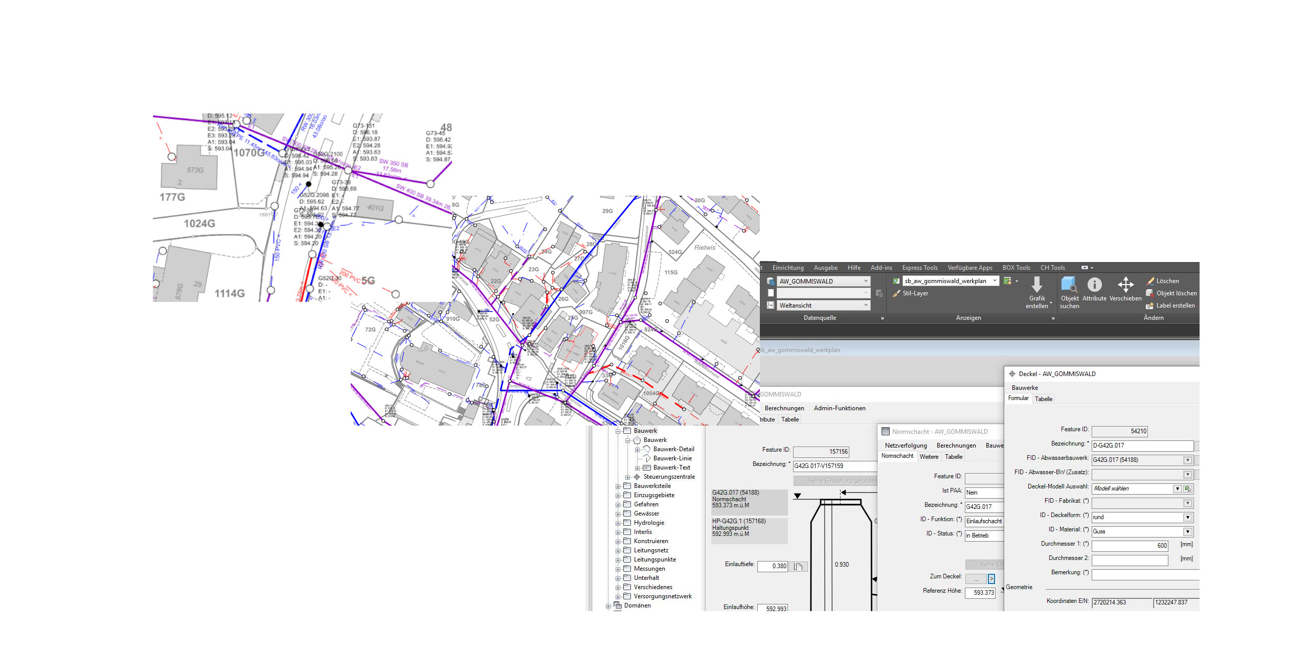 geomatik-geoinformationssysteme-gis-gommiswald-schaellibaum