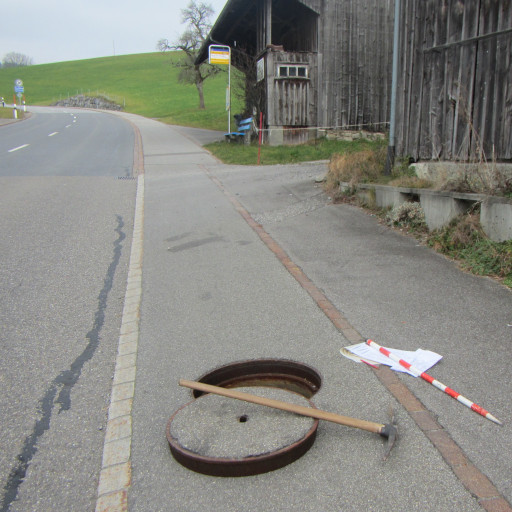 geomatik-geoinformationssysteme-strassenentwaesserung-schaellibaum