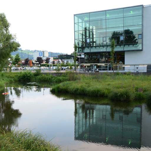 geomatik-gewaesservermessung-weiher-schaellibaum-ch