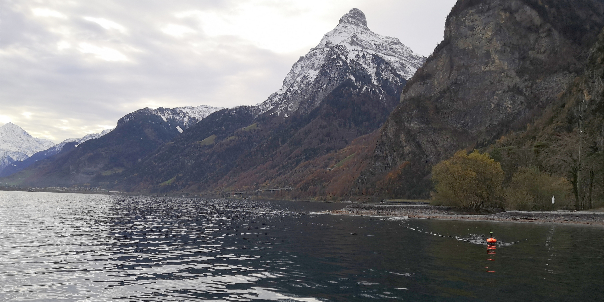 geomatik-gewaesservermessung-ufer-schaellibaum