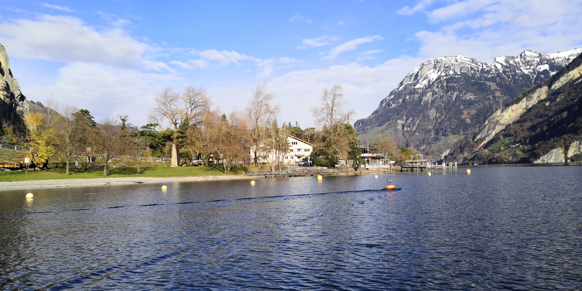 geomatik-gewaesservermessung-ufer-schaellibaum