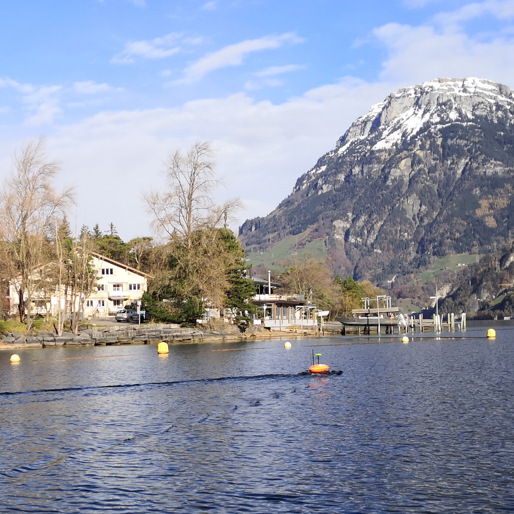 geomatik-gewaesservermessung-ufer-schaellibaum