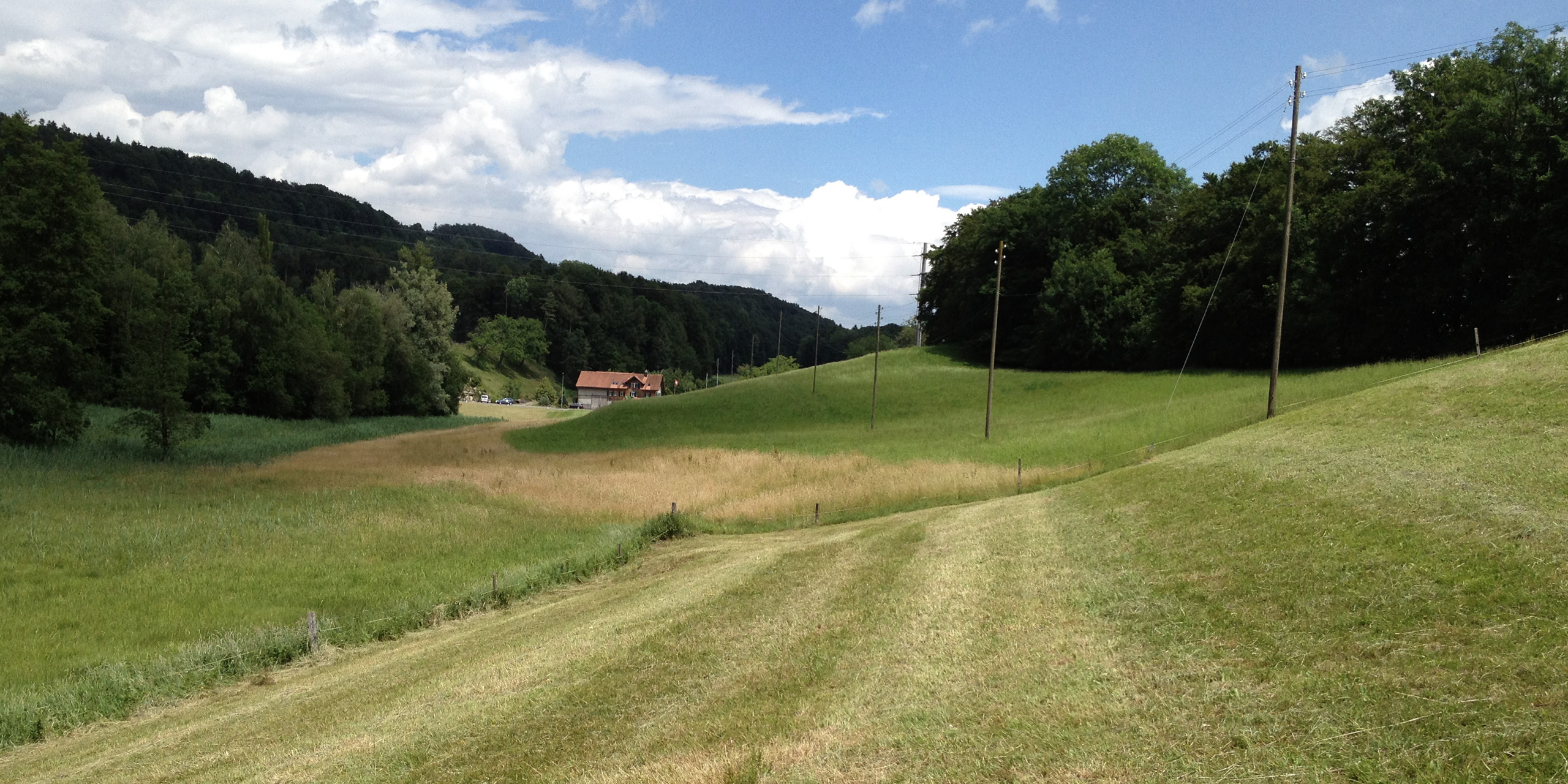 geomatik-raumplanung-feldegg-ostschweiz-schaellibaum-ch