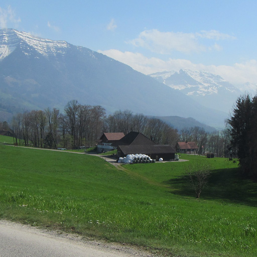 geomatik-ueberwachung-steigriemen-ostschweiz-schaellibaum-ch