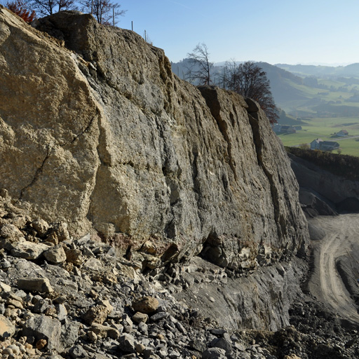 geomatik-ueberwachung-schatten-ostschweiz-schaellibaum-ch